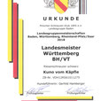 Urkunde Landesmeister BW